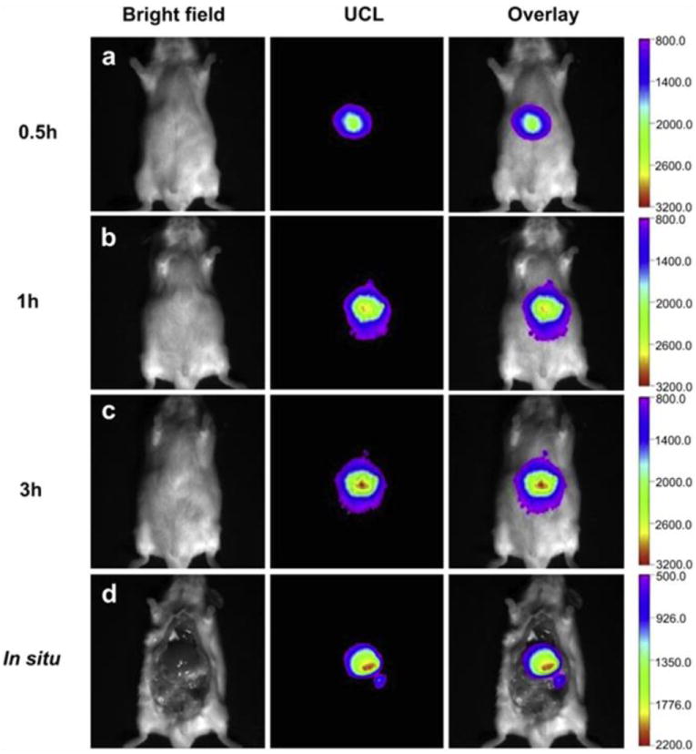 Fig. 18