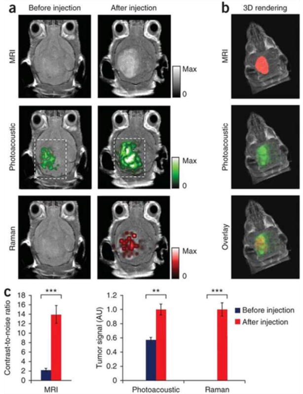 Fig. 25