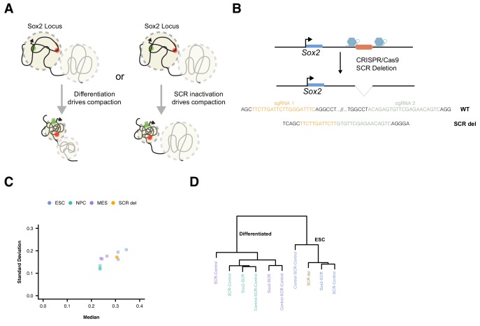 Figure 3—figure supplement 2.