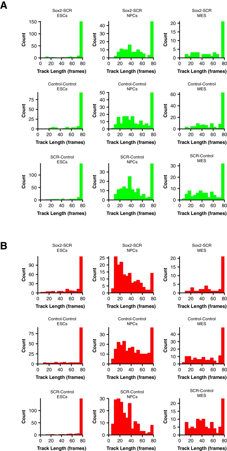 Figure 2—figure supplement 1.