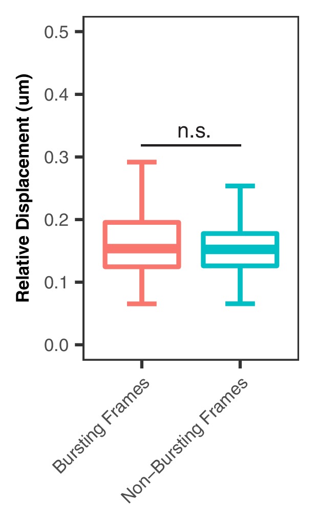 Figure 6—figure supplement 1.