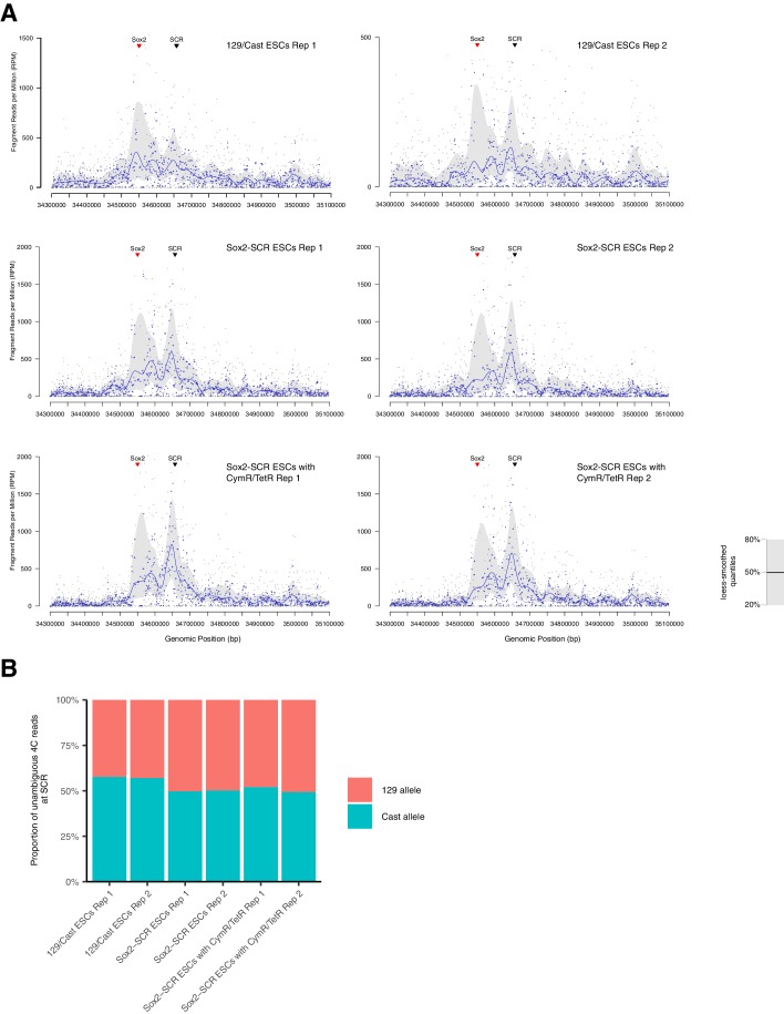 Figure 1—figure supplement 3.