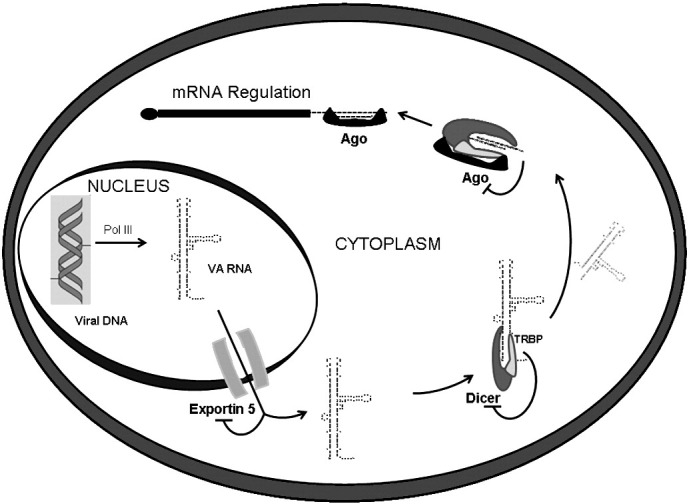 Fig. 2