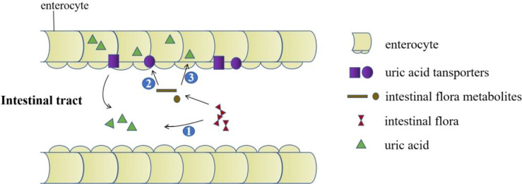 Figure 3