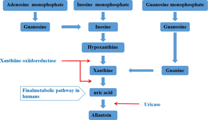 Figure 1