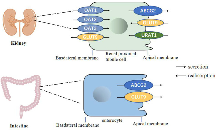 Figure 2