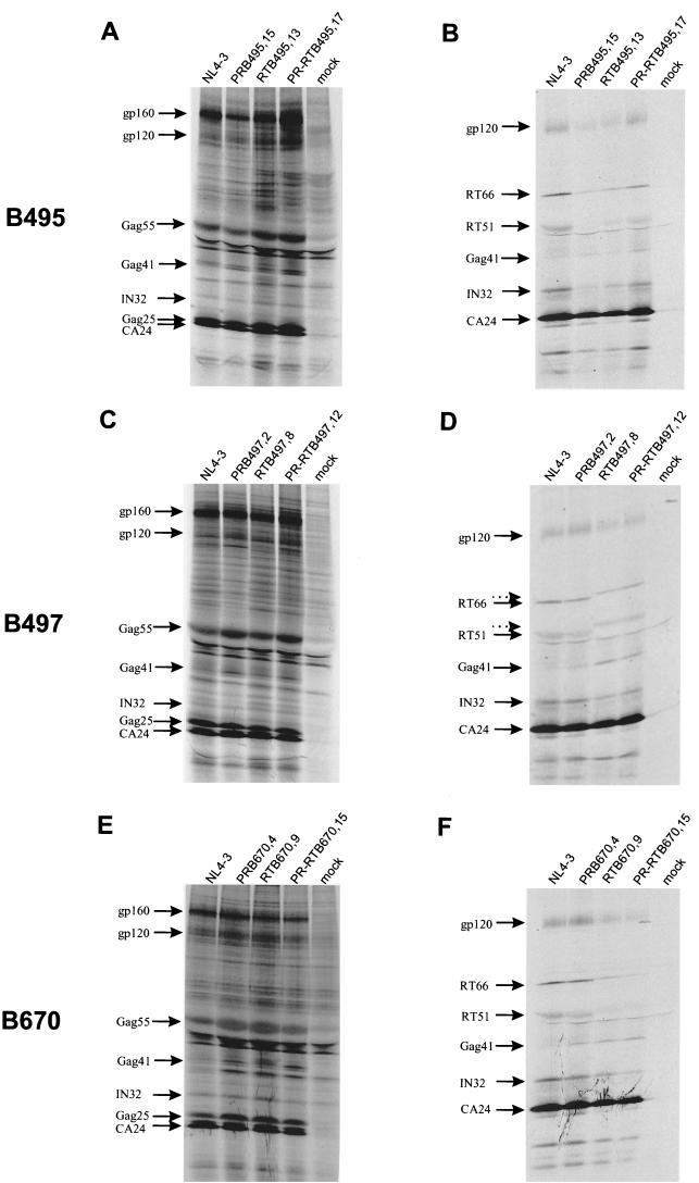 FIG. 6