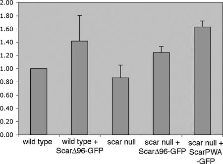 Figure 5.