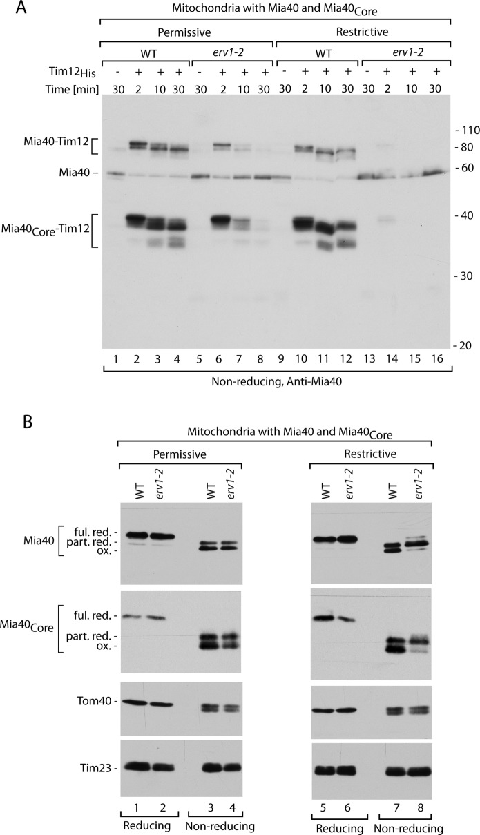 FIGURE 3: