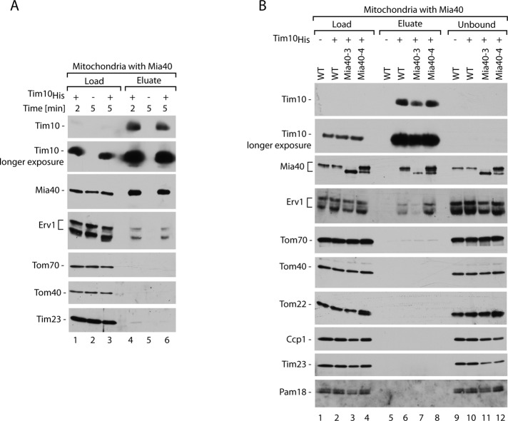 FIGURE 4: