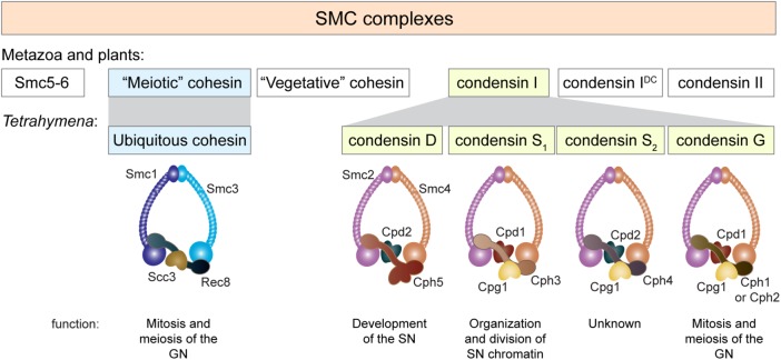 FIGURE 9: