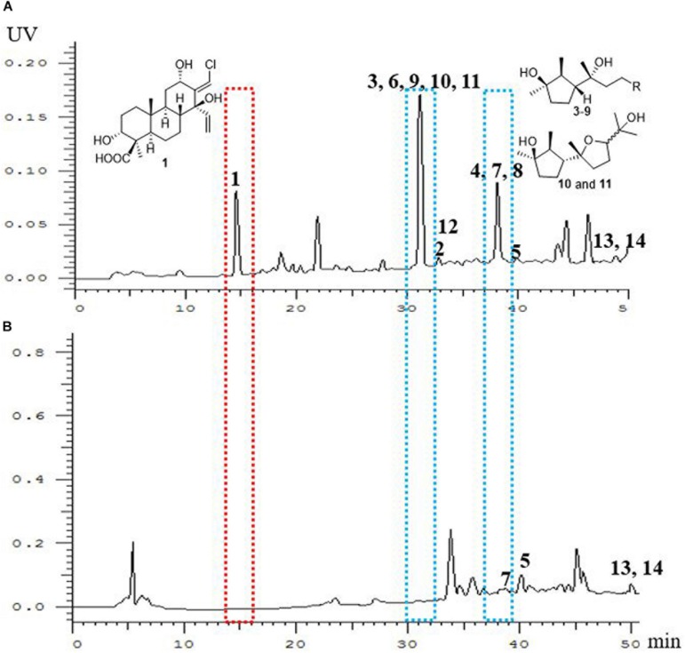 FIGURE 1