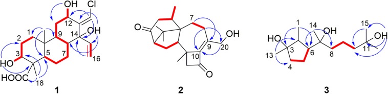 FIGURE 3