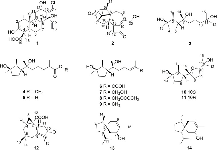 FIGURE 2