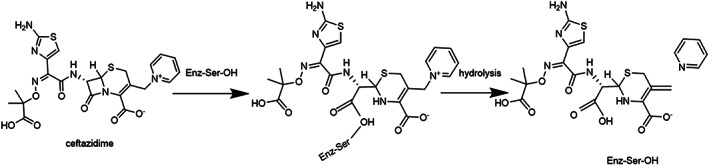 FIGURE 2