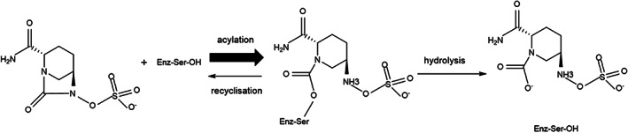 FIGURE 1