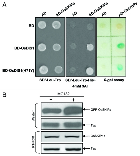 Figure 1.