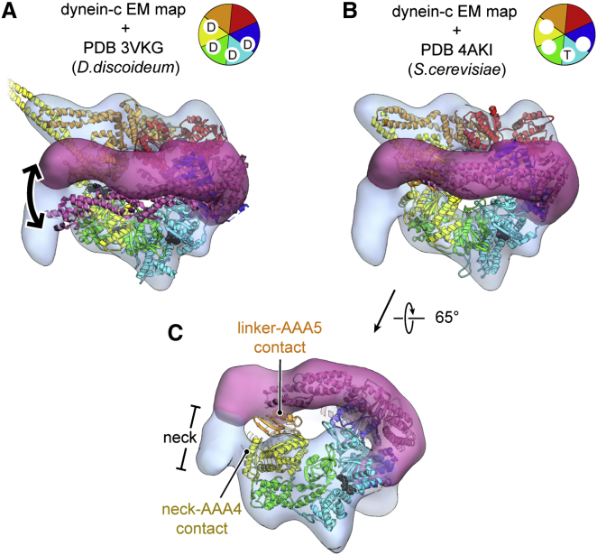 Figure 2