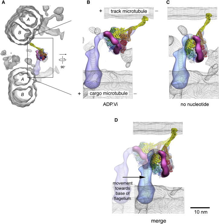 Figure 7