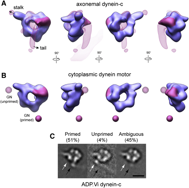 Figure 3