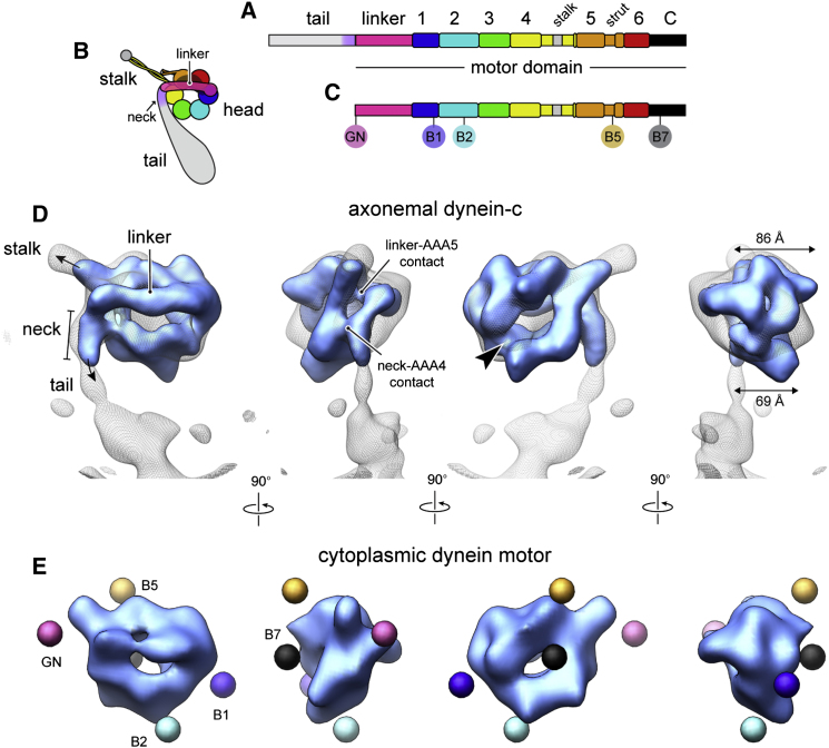 Figure 1