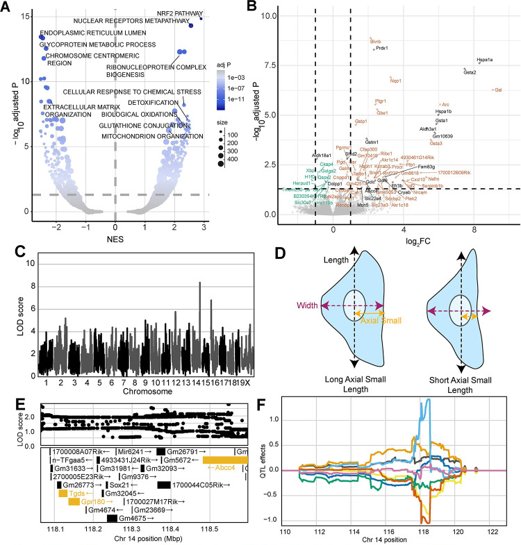 Figure 4: