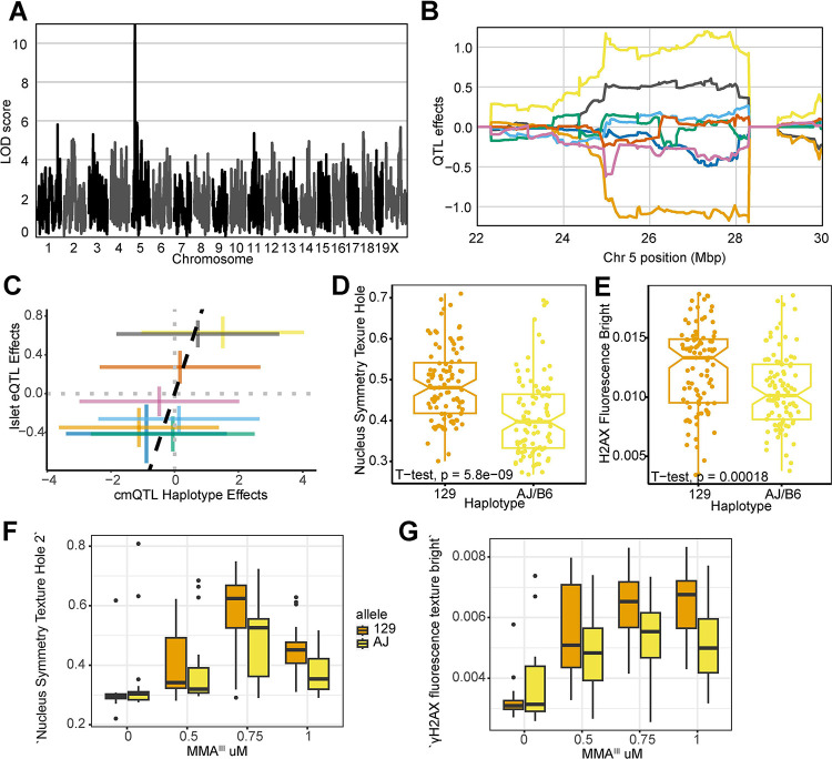 Figure 5: