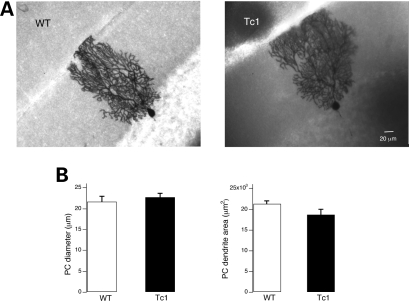 Figure 6.