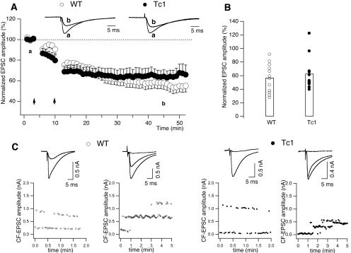 Figure 5.