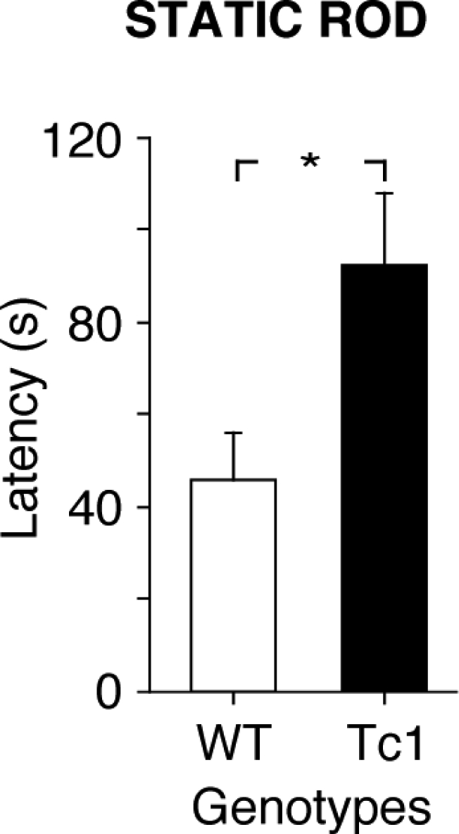 Figure 2.