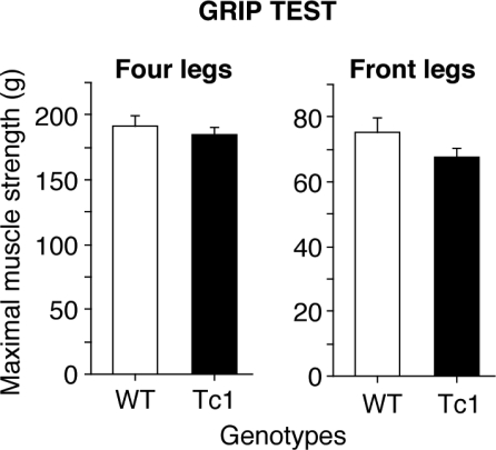 Figure 4.