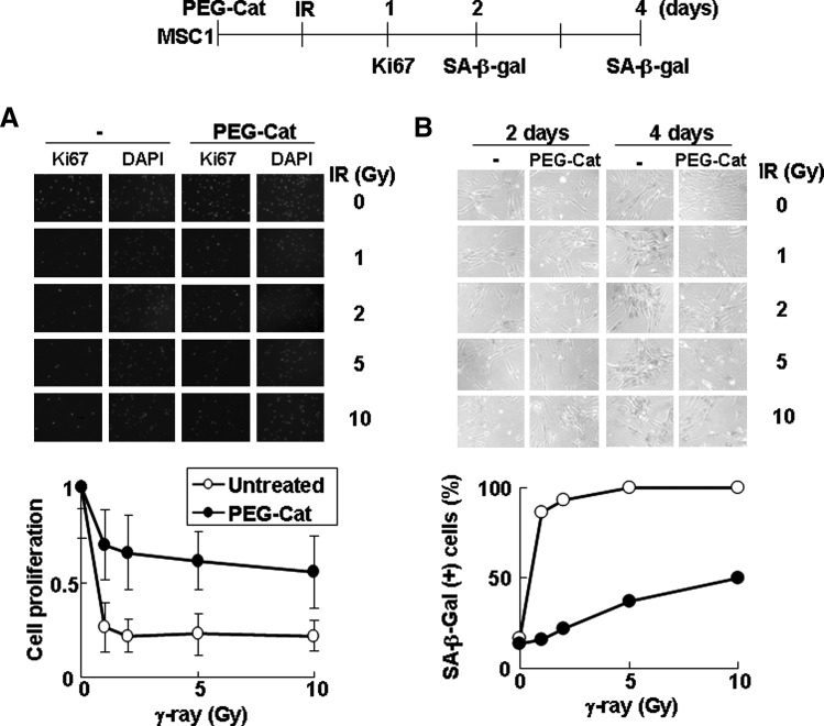 FIG. 7.