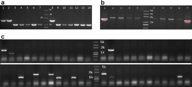 Fig. 2