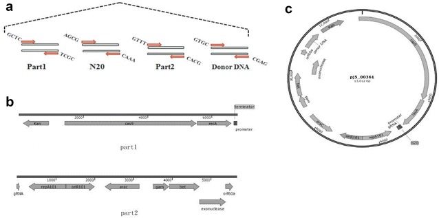 Fig. 3