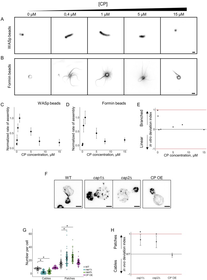 Fig 4