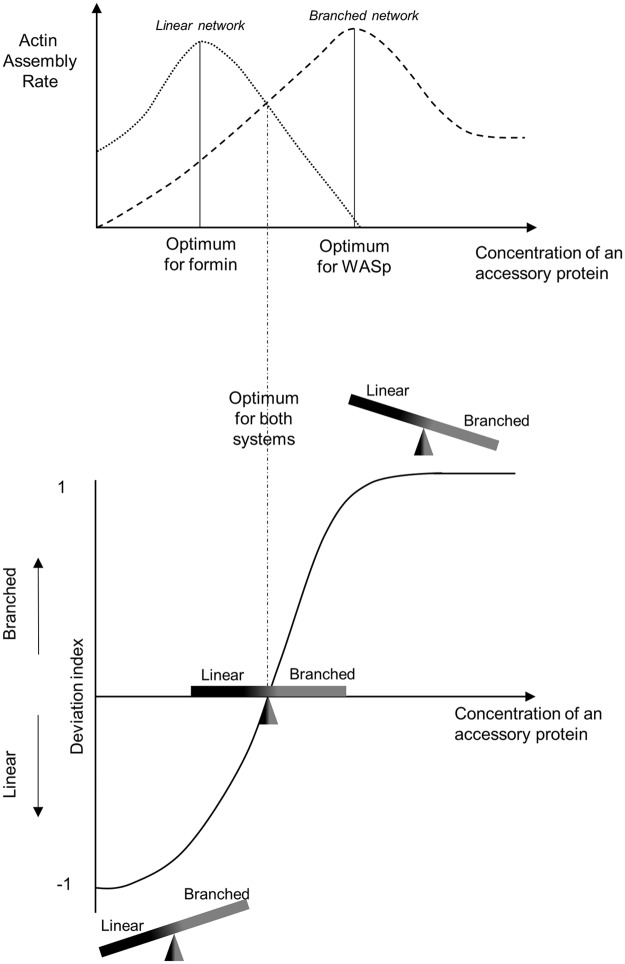 Fig 7