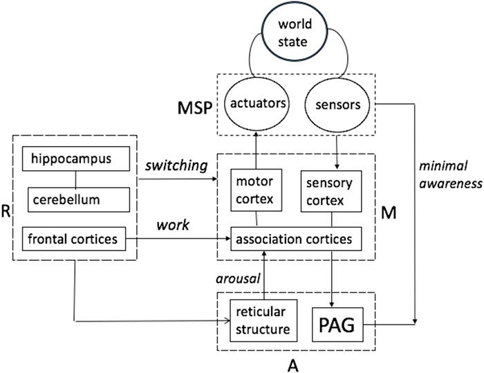 FIGURE 2