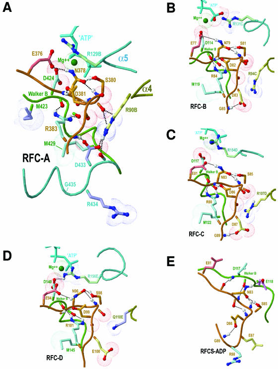 Figure 5