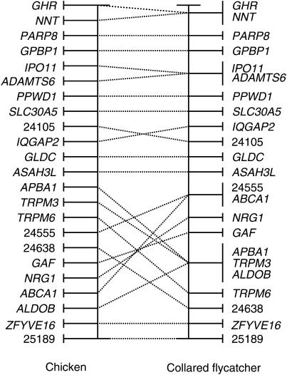 Figure 5.—