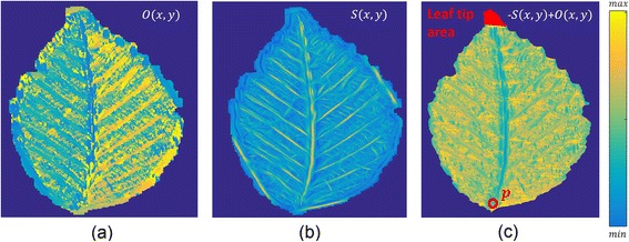 Fig. 2