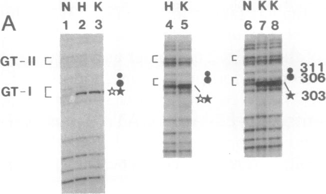 graphic file with name pnas01069-0407-c.jpg