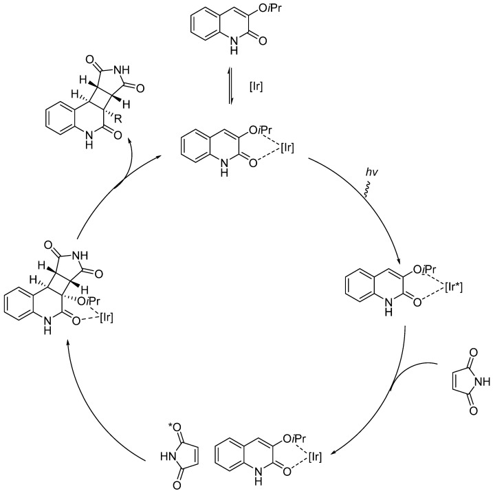 Figure 13