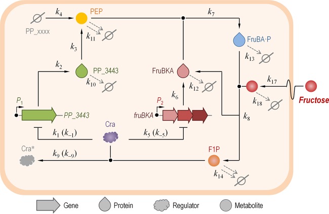 FIG 4 