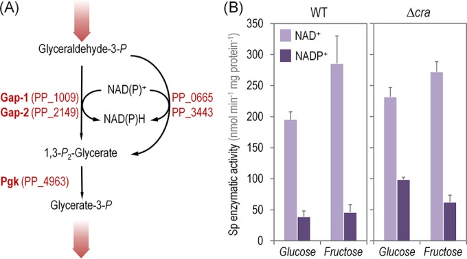 FIG 3 