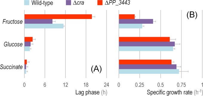 FIG 7 