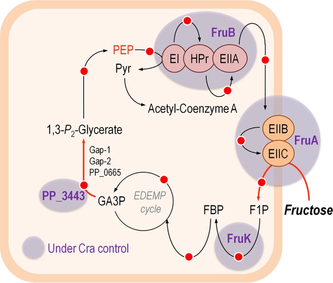 FIG 8 