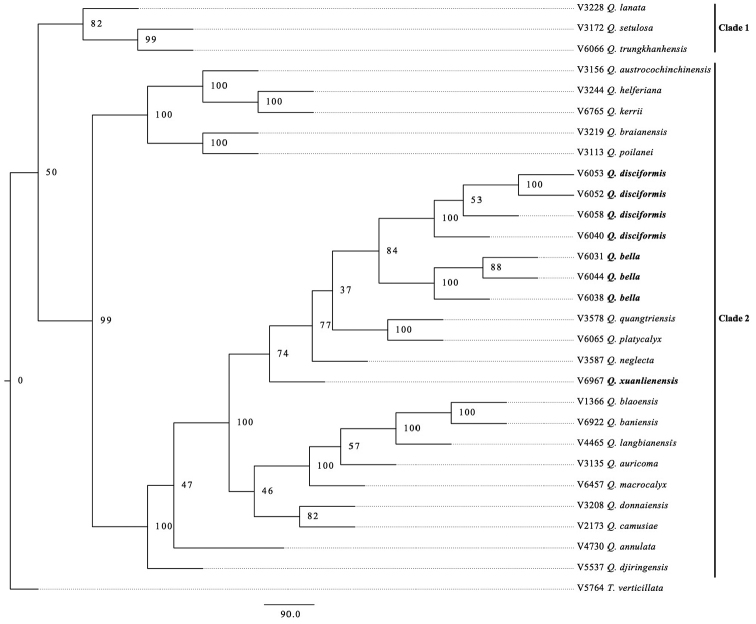 Figure 2.