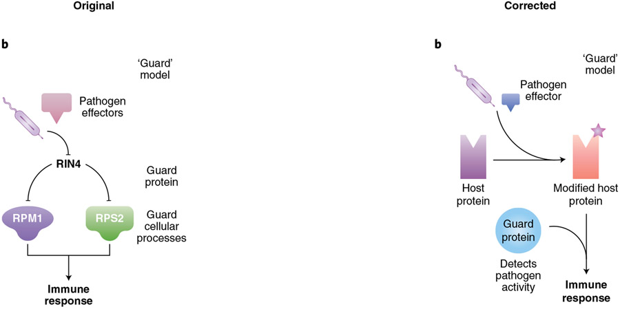 Box 1 figure ∣