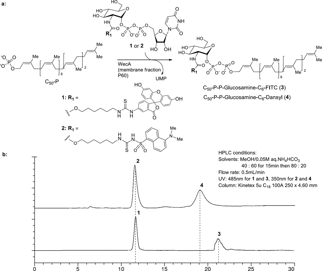 FIG 2