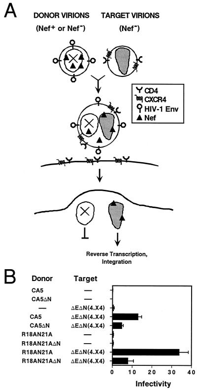 FIG. 5